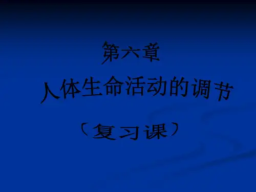 第六章人体生命活动的调节复习课课件(人教版七年级生物下)