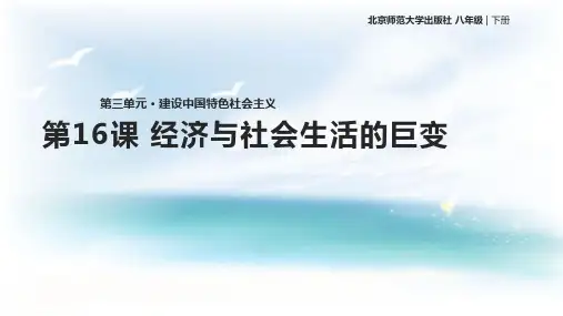 北师大版八年级下册历史：第16课 经济与社会生活的巨变