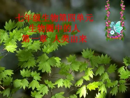 4.1  七年级生物第四单元第一章人的由来