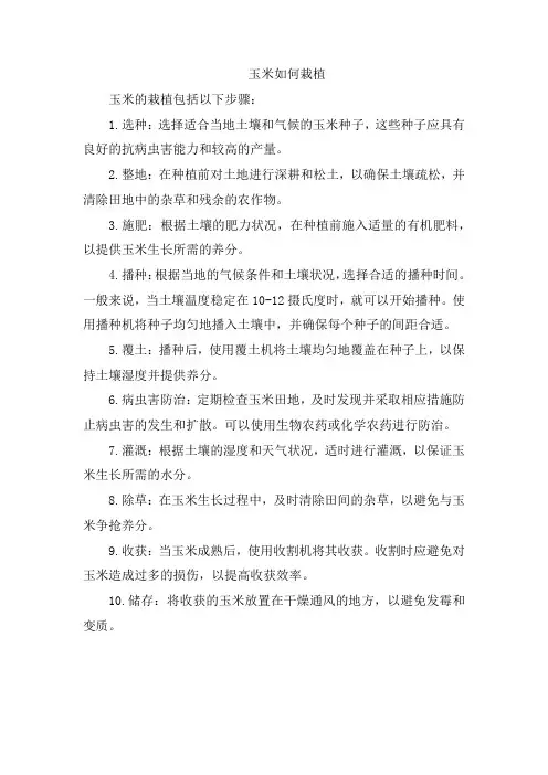 玉米如何栽植
