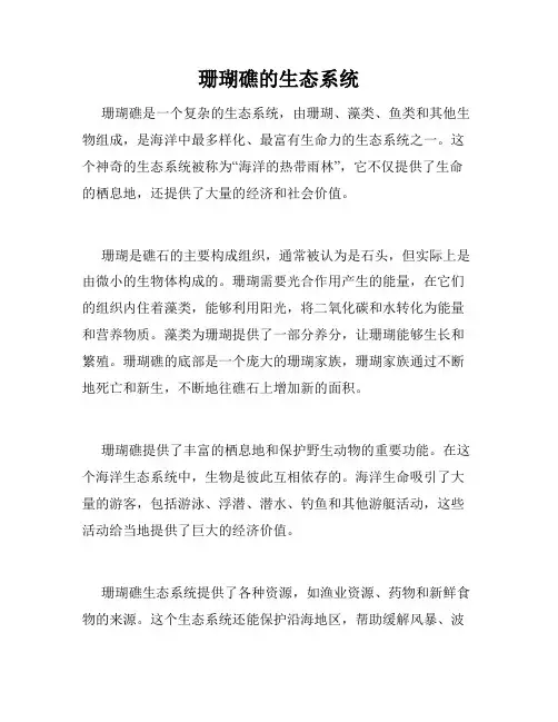 珊瑚礁的生态系统