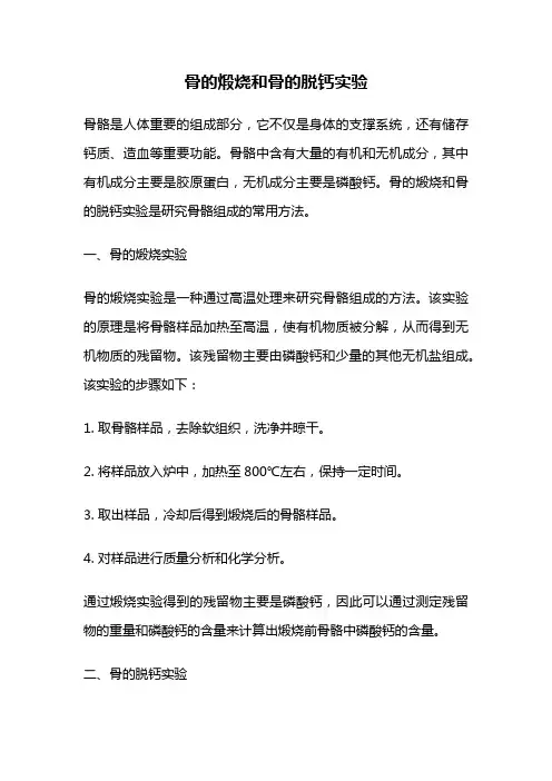 骨的煅烧和骨的脱钙实验