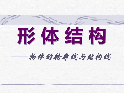 形体结构 PPT
