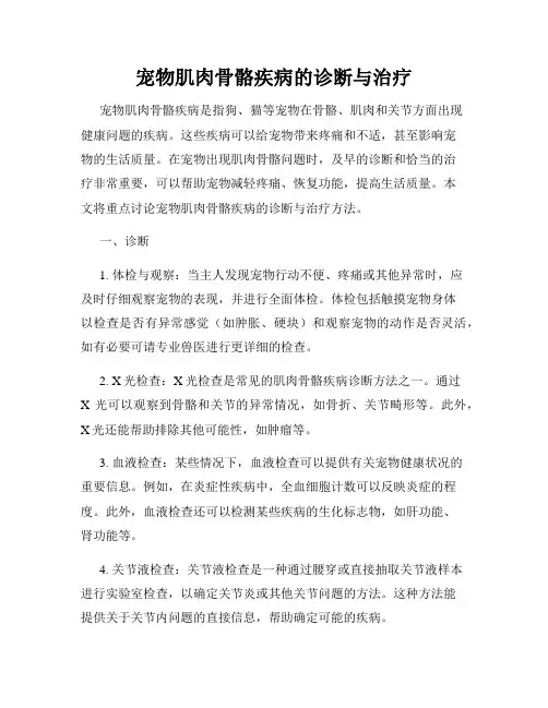 宠物肌肉骨骼疾病的诊断与治疗