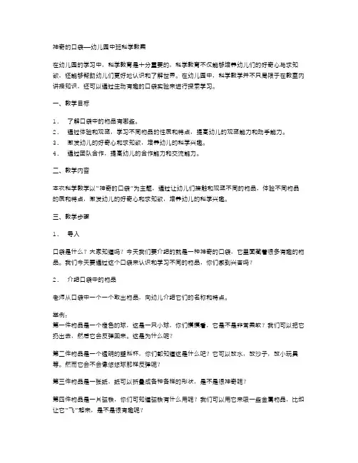 神奇的口袋——幼儿园中班科学教案