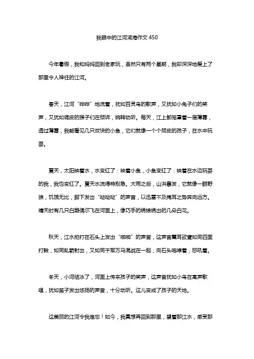我眼中的江河湖海作文450