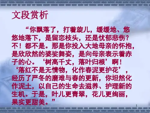 2017年中考作文指导-《让语言美起来》课件