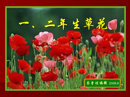 1、一二年生草花