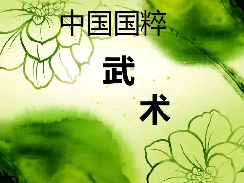 国粹—武术