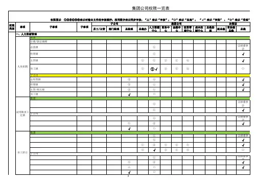 集团公司权限一览表 模版 