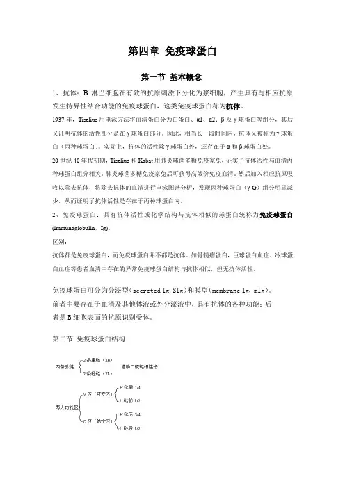第四章 免疫球蛋白