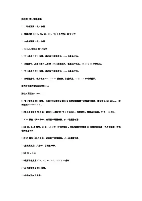 TUNEL实验步骤