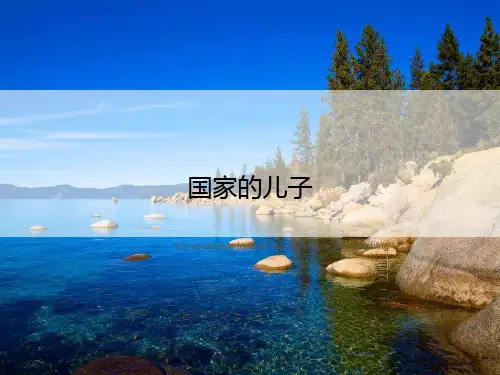 国家的儿子》ppt课件讲义