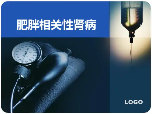 肥胖相关性肾病PPT课件