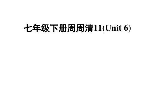 牛津深圳版英语七年级下册 周周清11(Unit 6 Electricity) 课件
