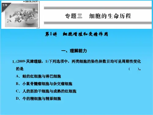 高考二轮生物复习 专题三 细胞的生命历程  细胞增殖和受精作用课件
