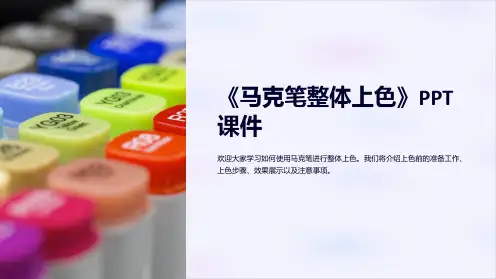 《马克笔整体上色》课件