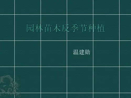 园林苗木反季节种植