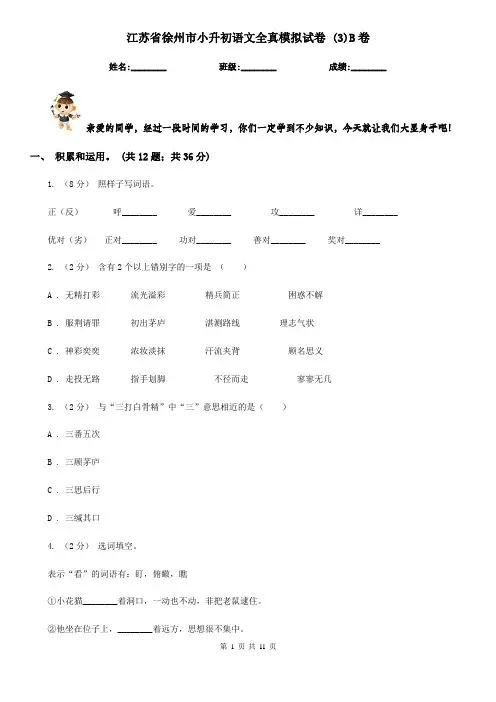 江苏省徐州市小升初语文全真模拟试卷 (3)B卷