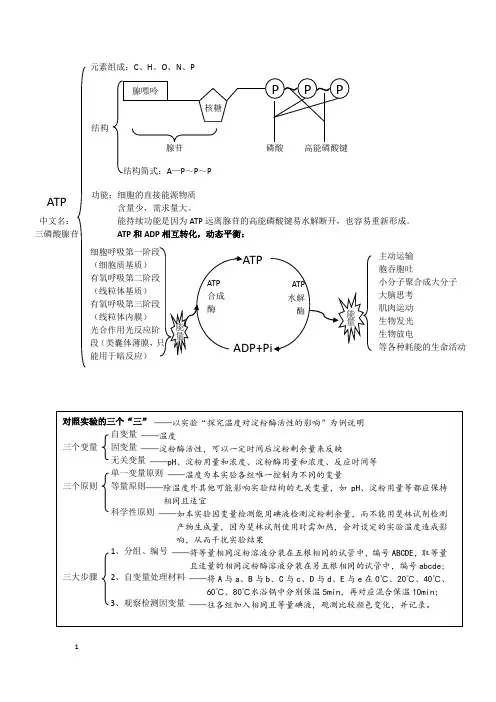 高中生物一轮复习知识体系图 5- ATP和酶