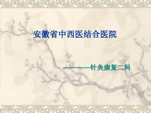 三九贴ppt