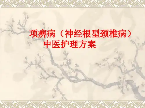 项痹病(神经根型颈椎病)中医护理方案演示教学