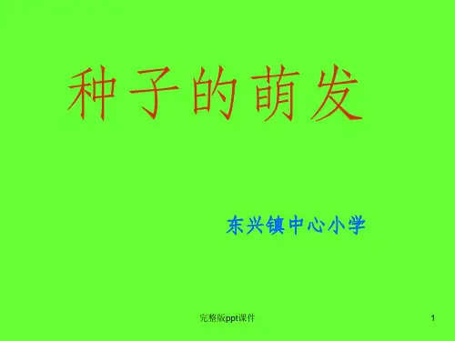 四年级科学下册种子的萌发ppt课件