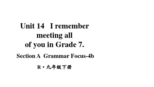 人教版九年级英语下册Unit 14第3课时(A Grammar Focus-4b)