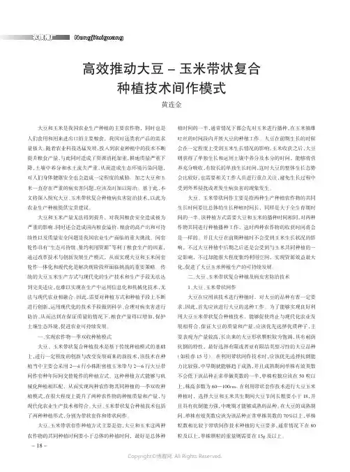 高效推动大豆-玉米带状复合种植技术间作模式