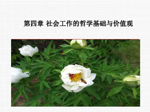 第四章 社会工作的哲学基础与价值观 第一节 哲学基础与价值体系在社会工作中的重要性与意义