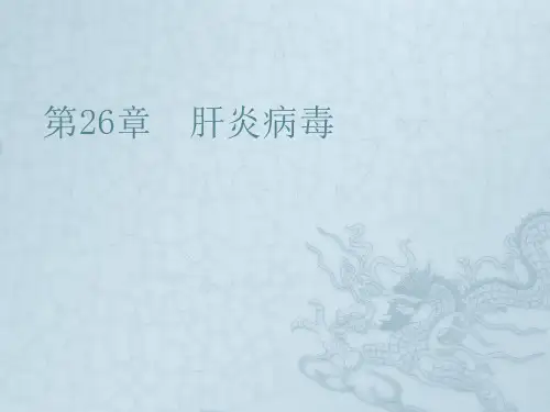 第26章 肝炎病毒