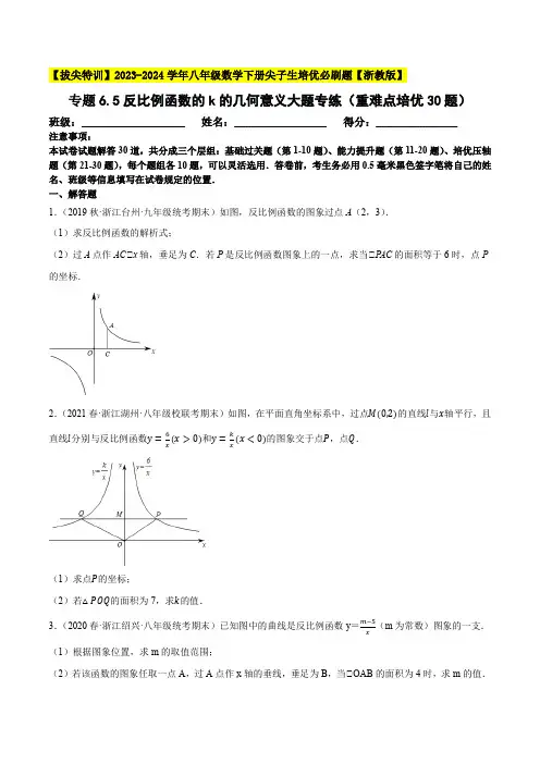 专题6-5反比例函数的k的几何意义大题专练(重难点培优30题,八下浙教)--2(0002)