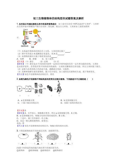 初三生物植物体的结构层次试题答案及解析
