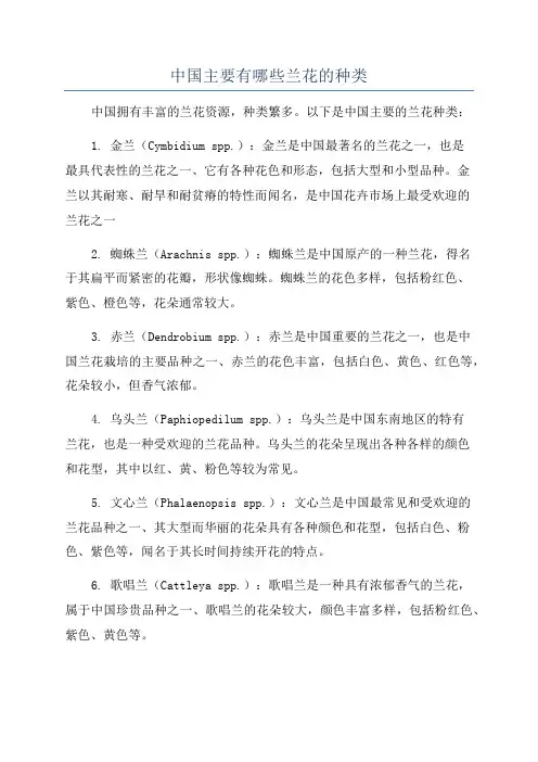 中国主要有哪些兰花的种类
