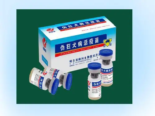 高中生物第3章生物科学与工业3.3生物技术药物与疫苗公开课课件新人教版