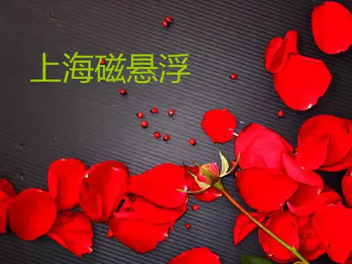 上海磁悬浮PPT课件