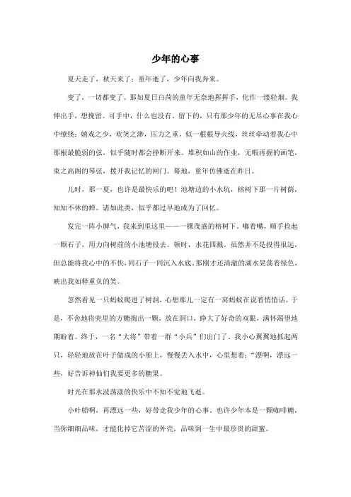 少年的心事_初中初三作文600字