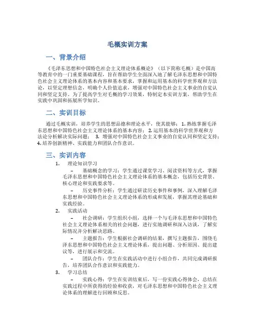 毛概实训方案