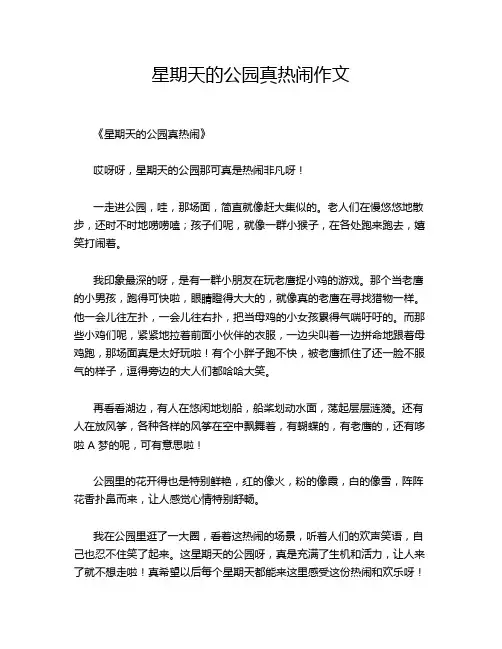 星期天的公园真热闹作文