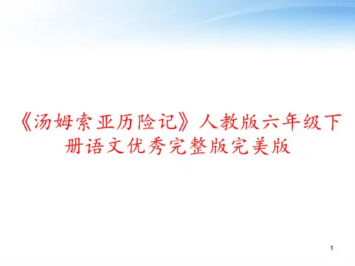 《汤姆索亚历险记》人教版六年级下册语文优秀完整版完美版 ppt课件