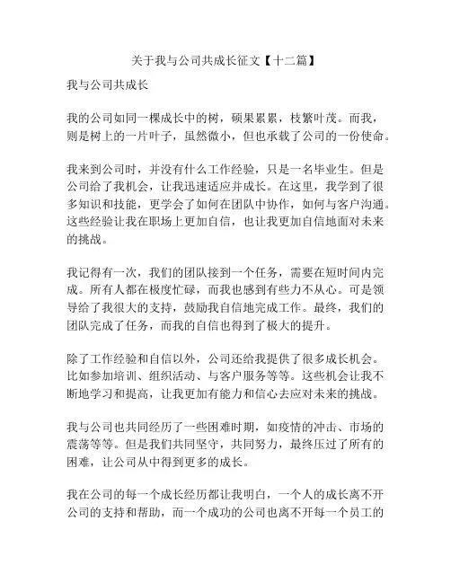 关于我与公司共成长征文【十二篇】