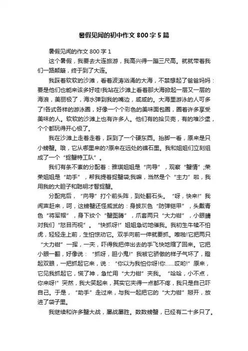 暑假见闻的初中作文800字5篇