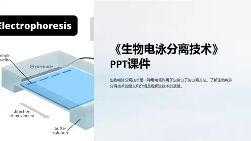 《生物电泳分离技术》课件