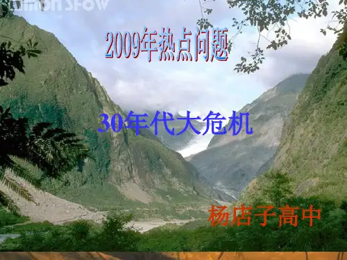 1929—1933年资本主义世界的经济危机PPT演示文稿
