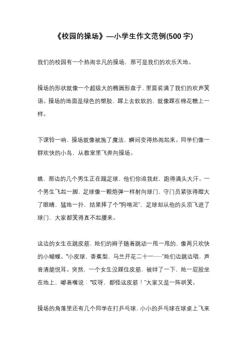 《校园的操场》—小学生作文范例(500字)