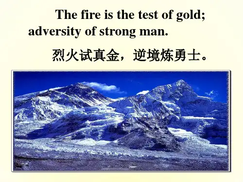 高中英语 Unit8 Lesson1《Adventure》Adventure Holidays课件7 北师大版必修3