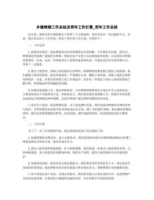 乡镇烤烟工作总结及明年工作打算_明年工作总结
