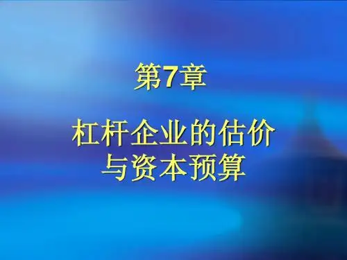 07杠杆企业估价
