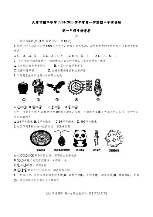 天津市耀华中学2024-2025学年高一上学期11月期中生物试题(含答案)