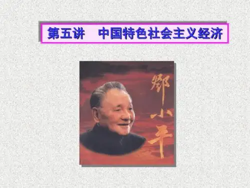 第五讲 中国特色社会主义经济